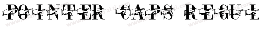 POINTER CAPS REGULAR字体转换